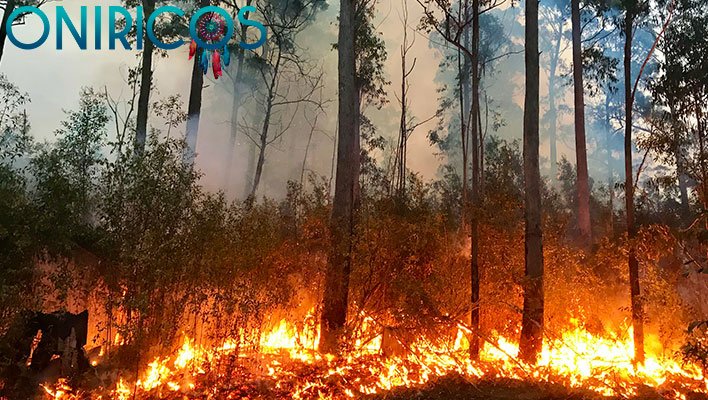 soñar con fuego en el bosque