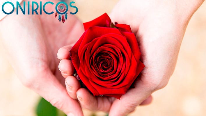 soñar con rosas rojas - oniromancia