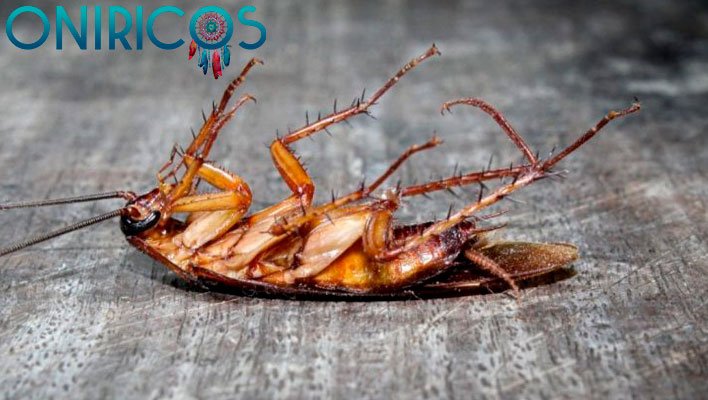 soñar con cucarachas muertos - oniromancia