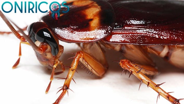 soñar con cucarachas - oniromancia